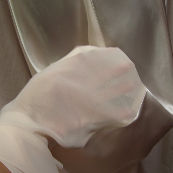 Alexandra Nicole Sexy Lacy Peach Satin Long Nightgown NWOT Size Small - Picture 3 of 5